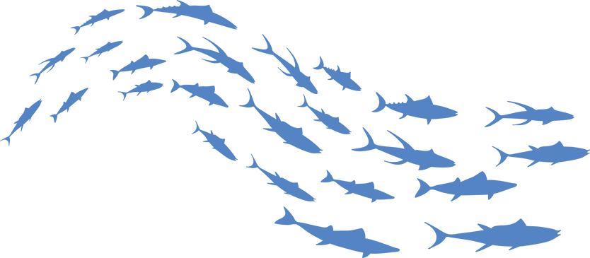 Silhouette of a school of fish. Cute aquarium fish.