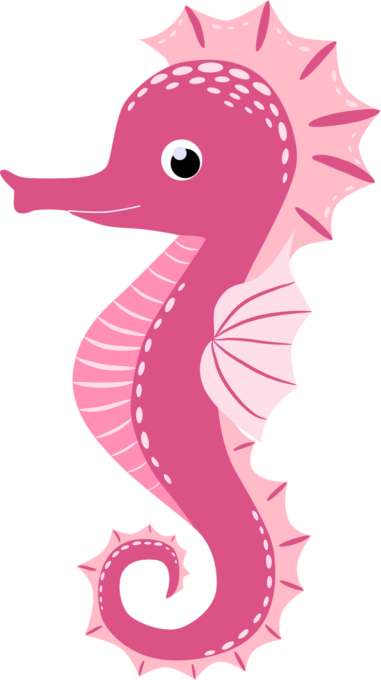 Pink Seahorse Animal