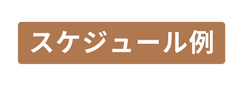 スケジュール例